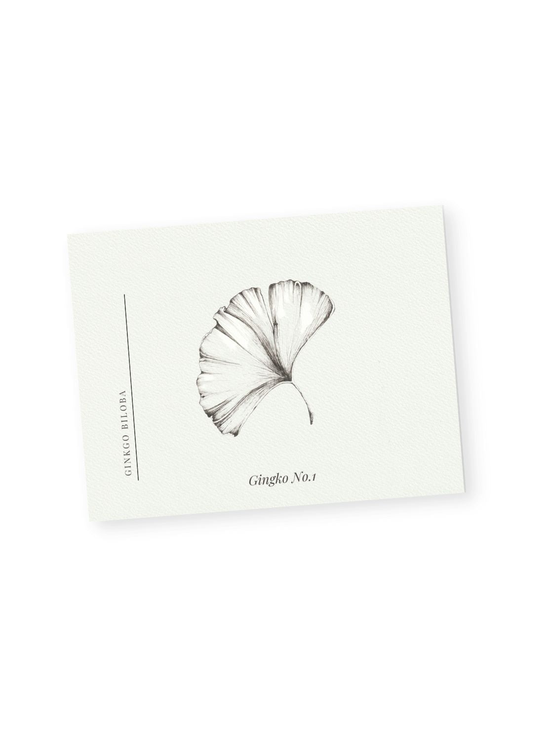 Botanical Collection Notecards