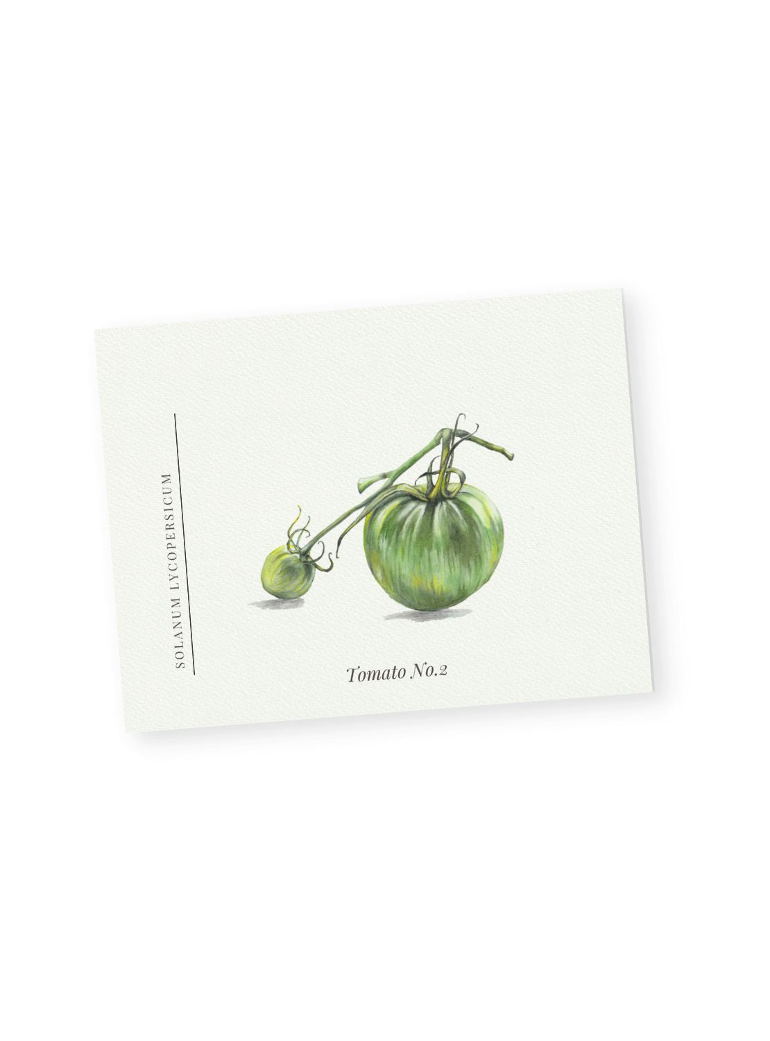 Green Tomato Notecards