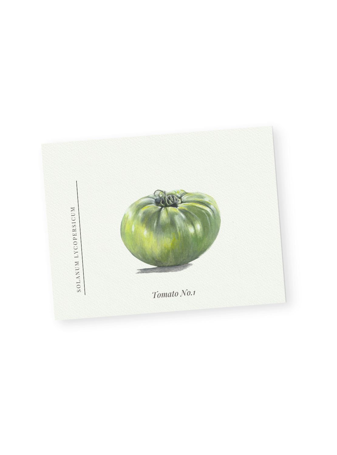 Green Tomato Notecards