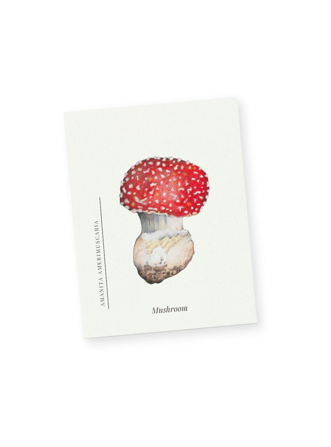 Red Mushroom Notecards