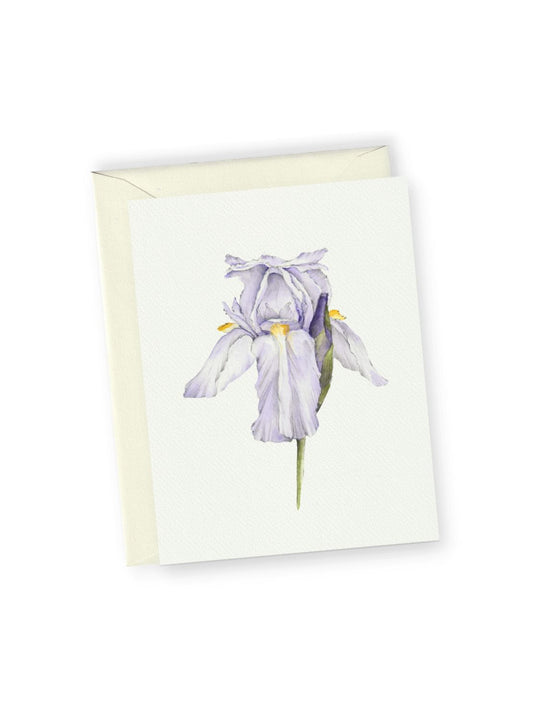 Purple Iris Greeting Card Bundle