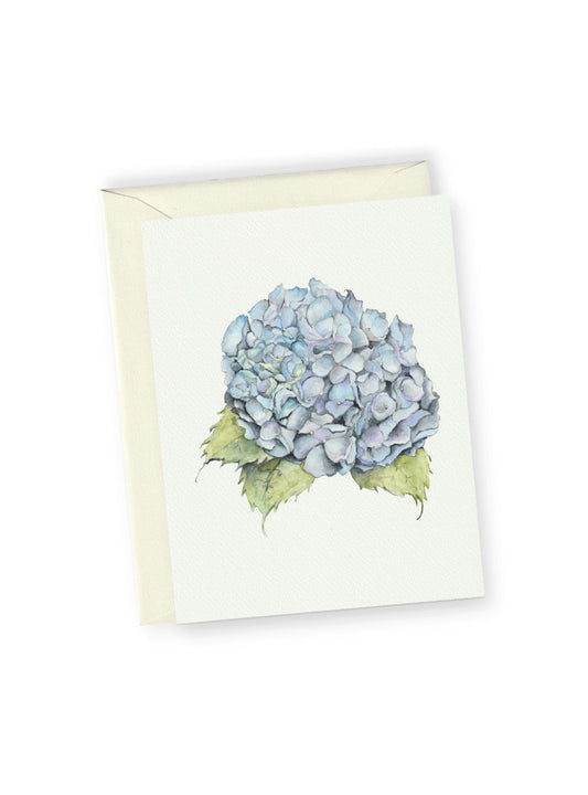 Blue Hydrangea Greeting Card Bundle