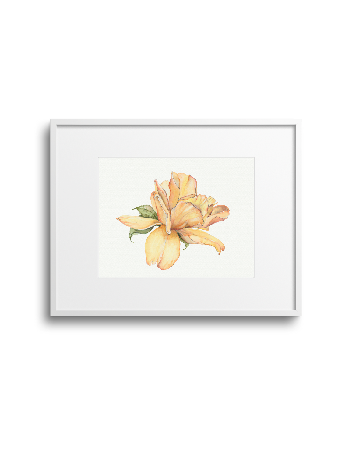 Yellow Rose Giclee Print