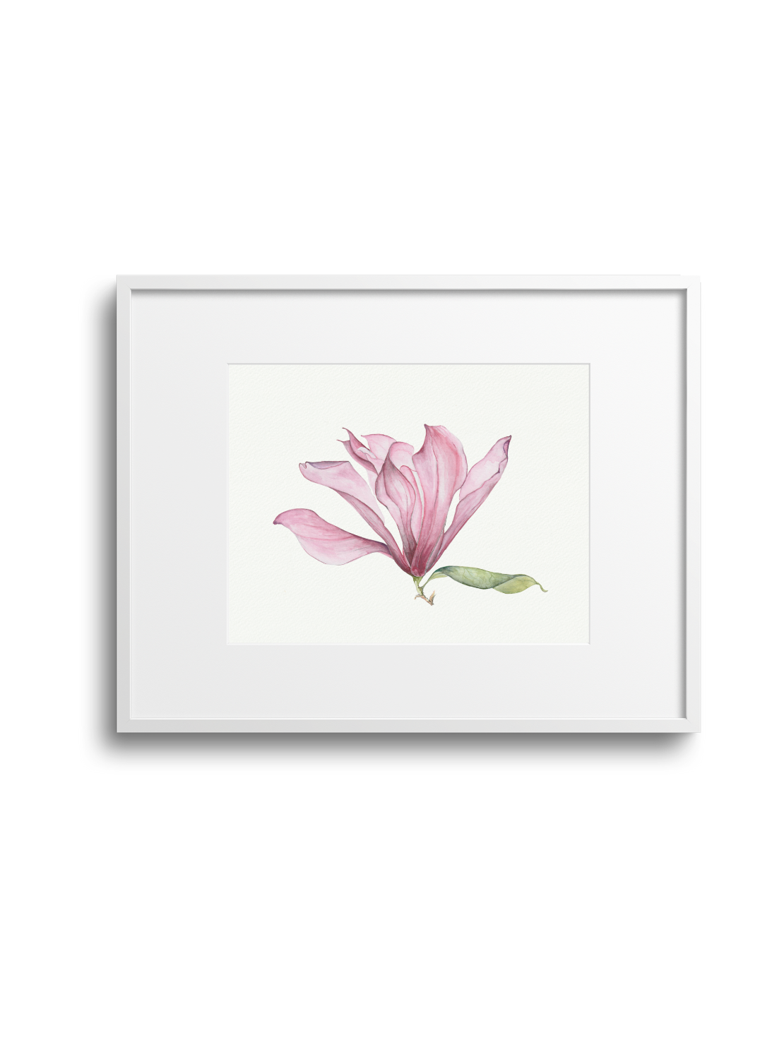Pink Magnolia Giclee Print