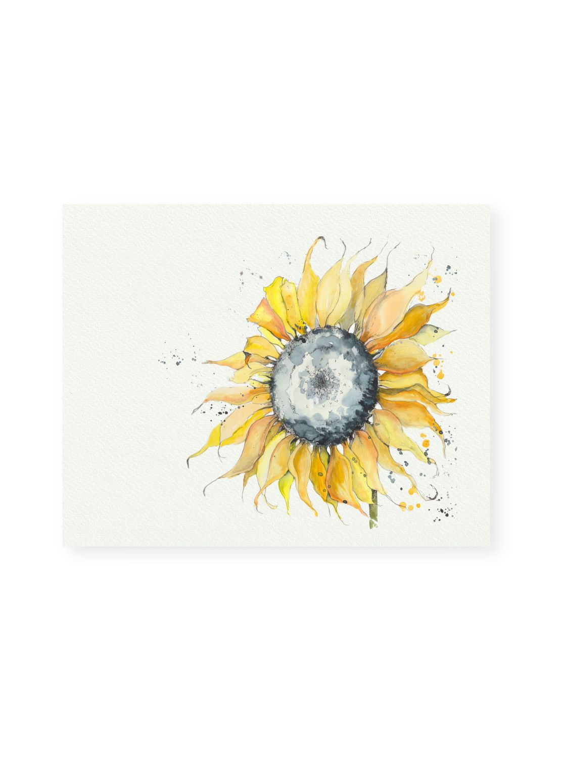 Sunflower Giclee Print