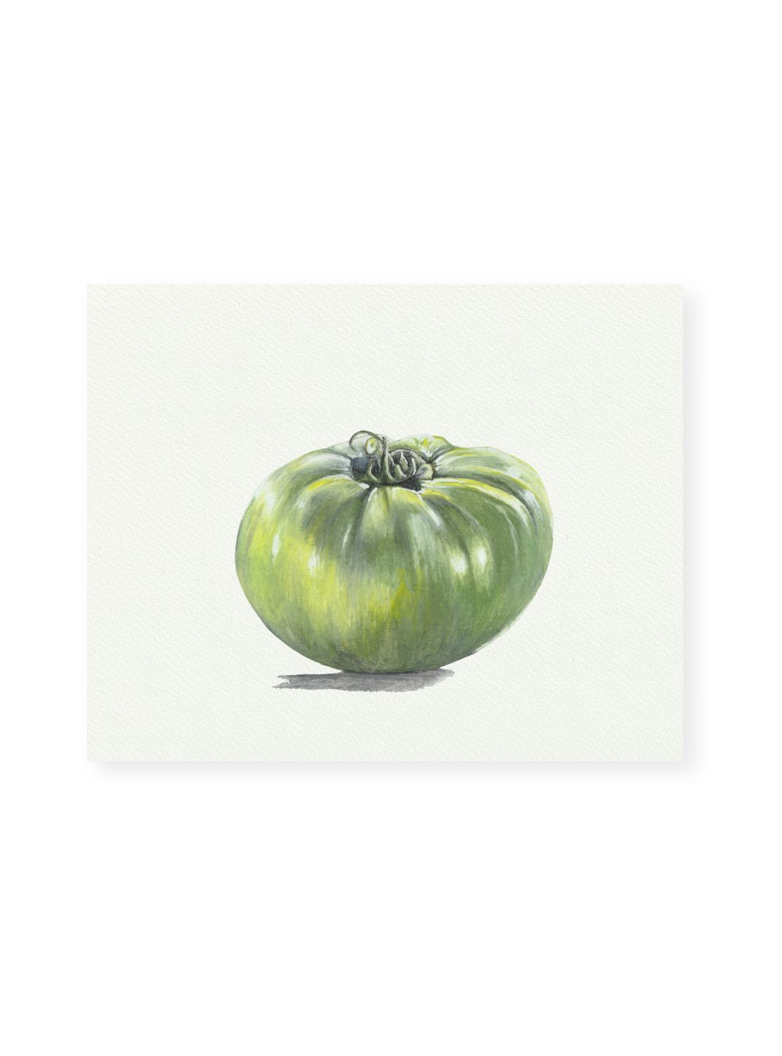Tomato No.1 Giclee Print