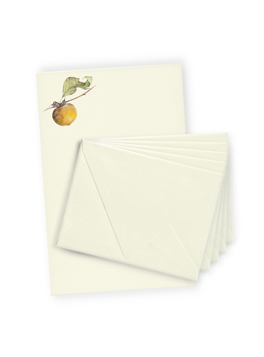 Persimmon Letter Paper Bundle