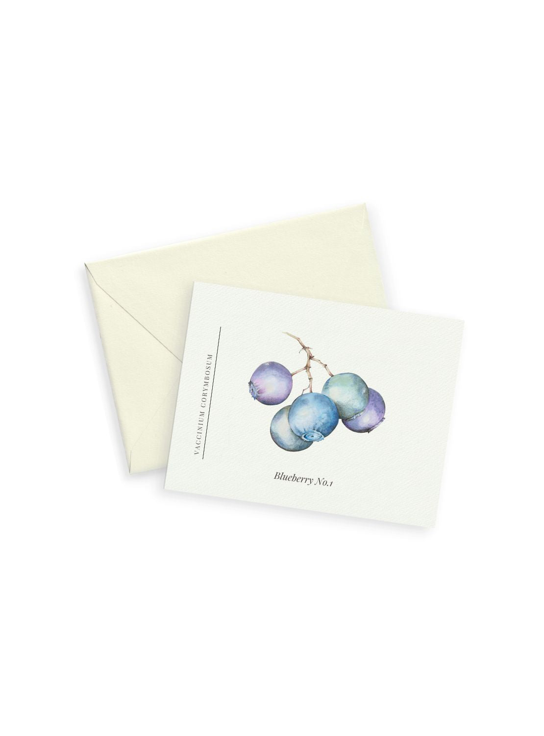 Blueberry Notecards