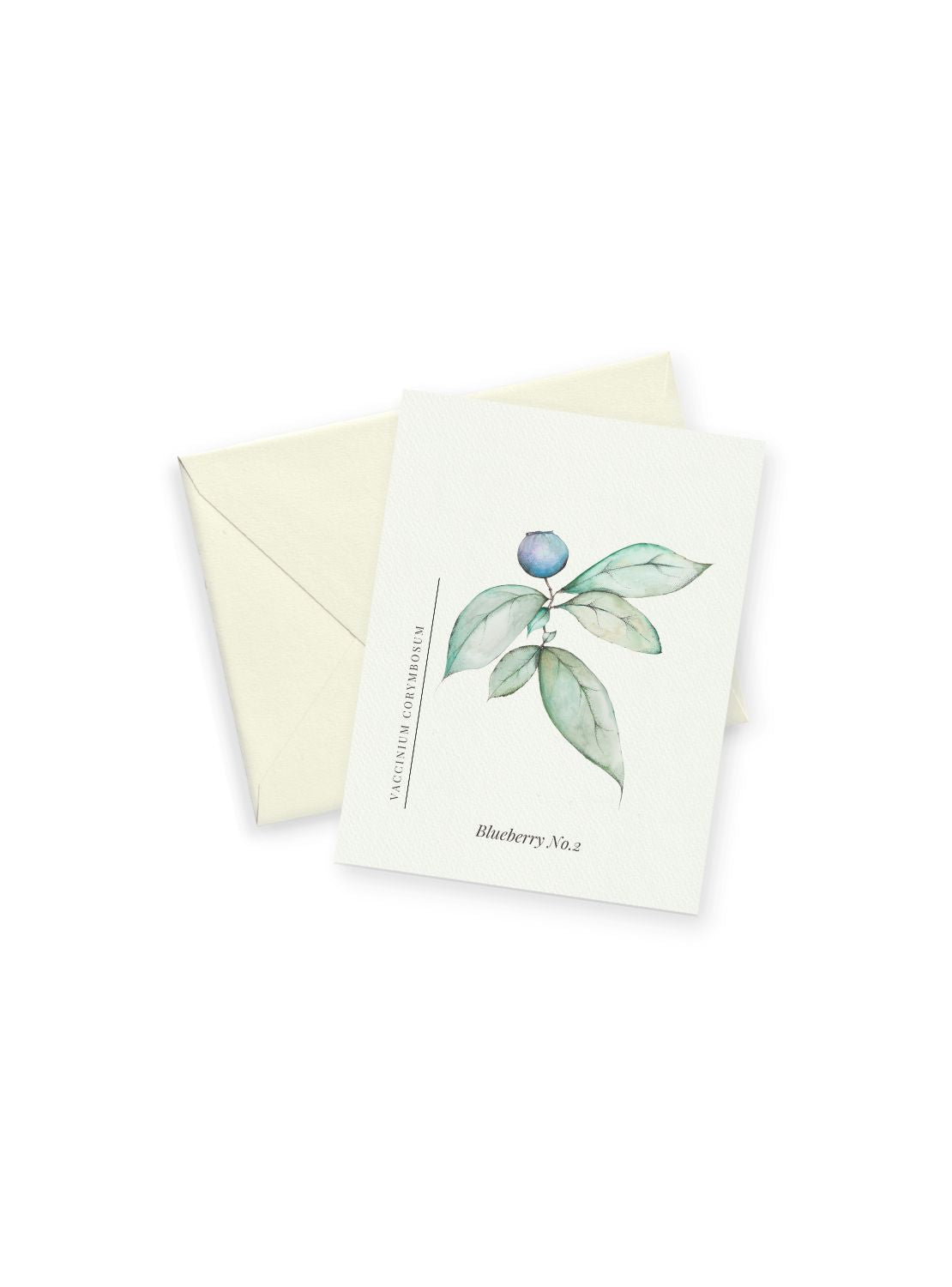 Blueberry Notecards