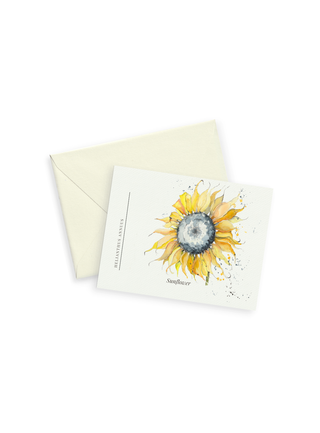 Sunflower Notecards