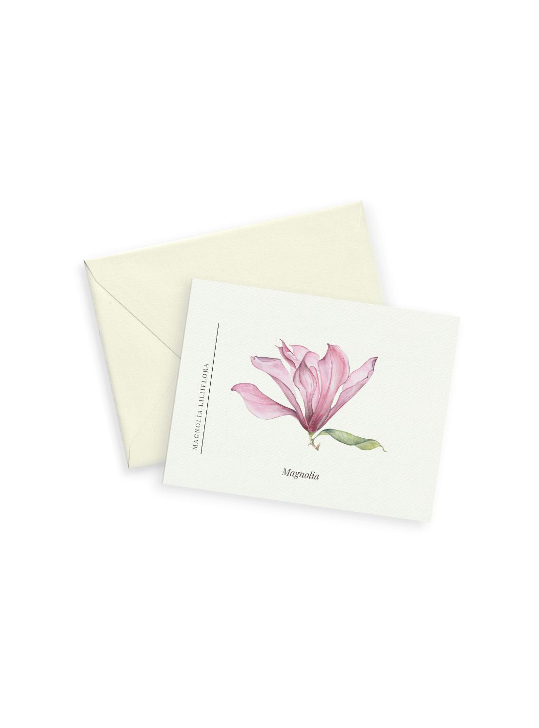 Pink Magnolia Notecards