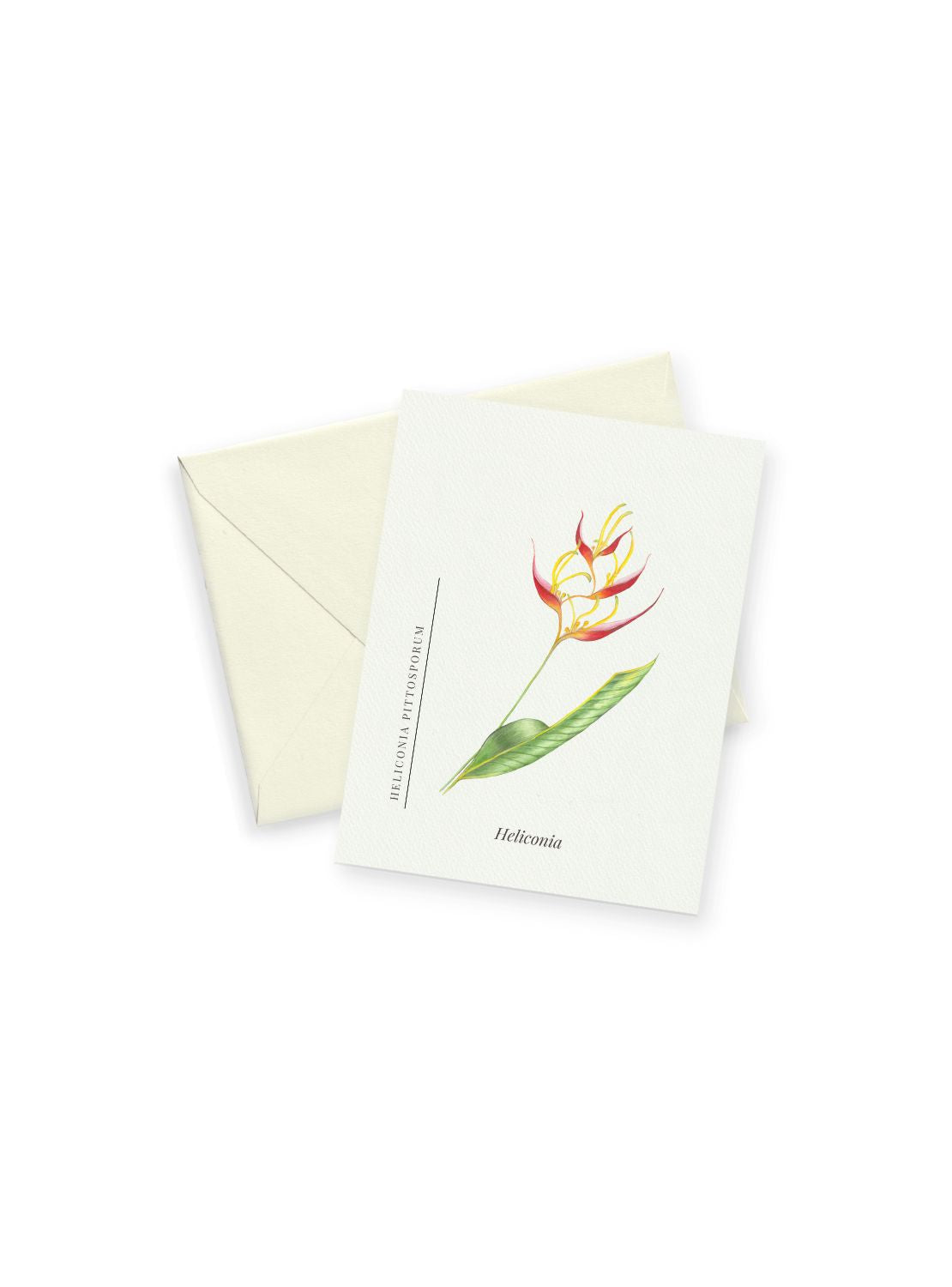 Heliconia Notecards
