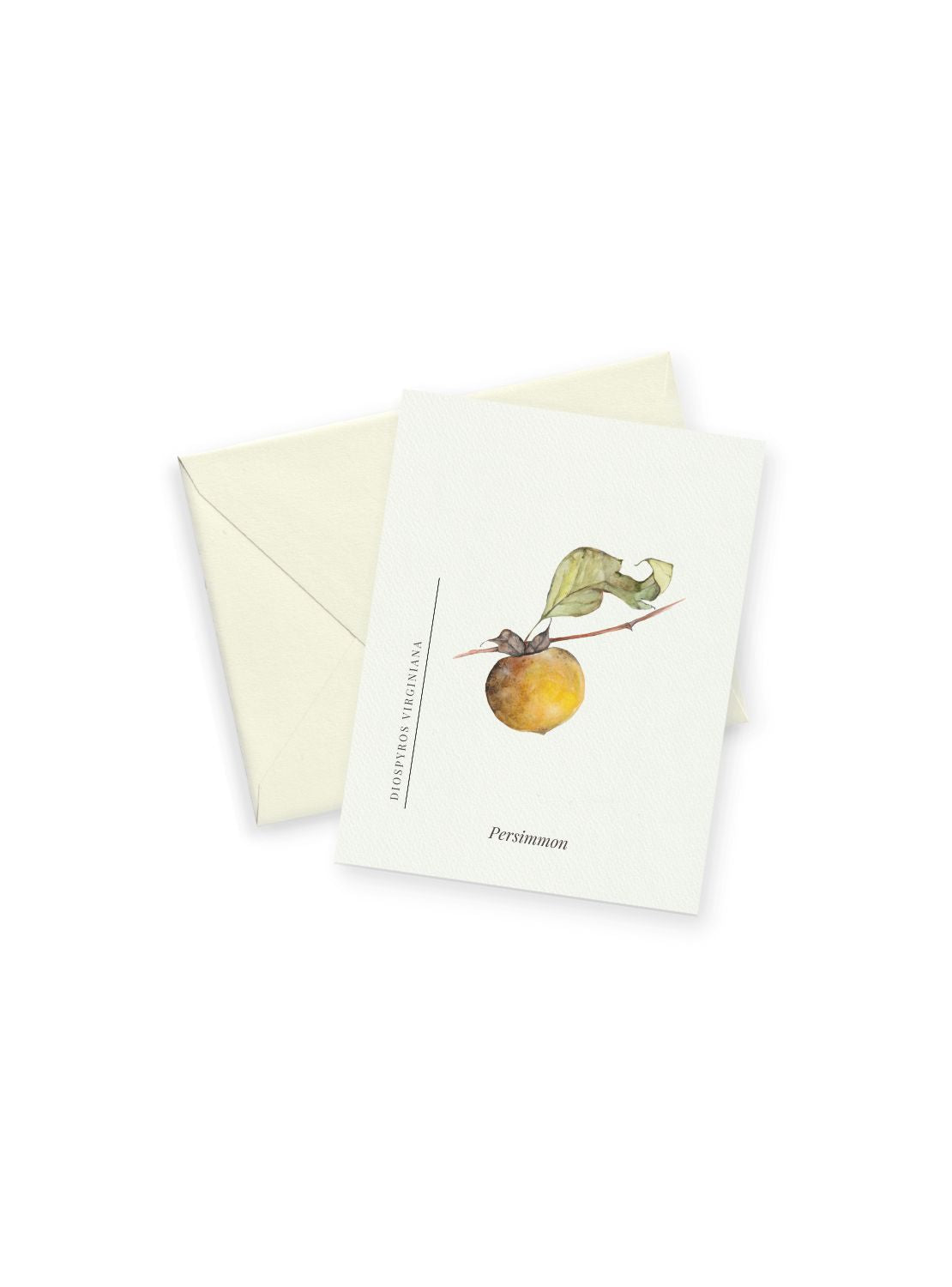 Persimmon Notecards