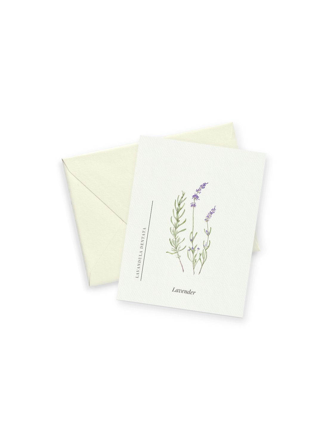 Lavender Notecards