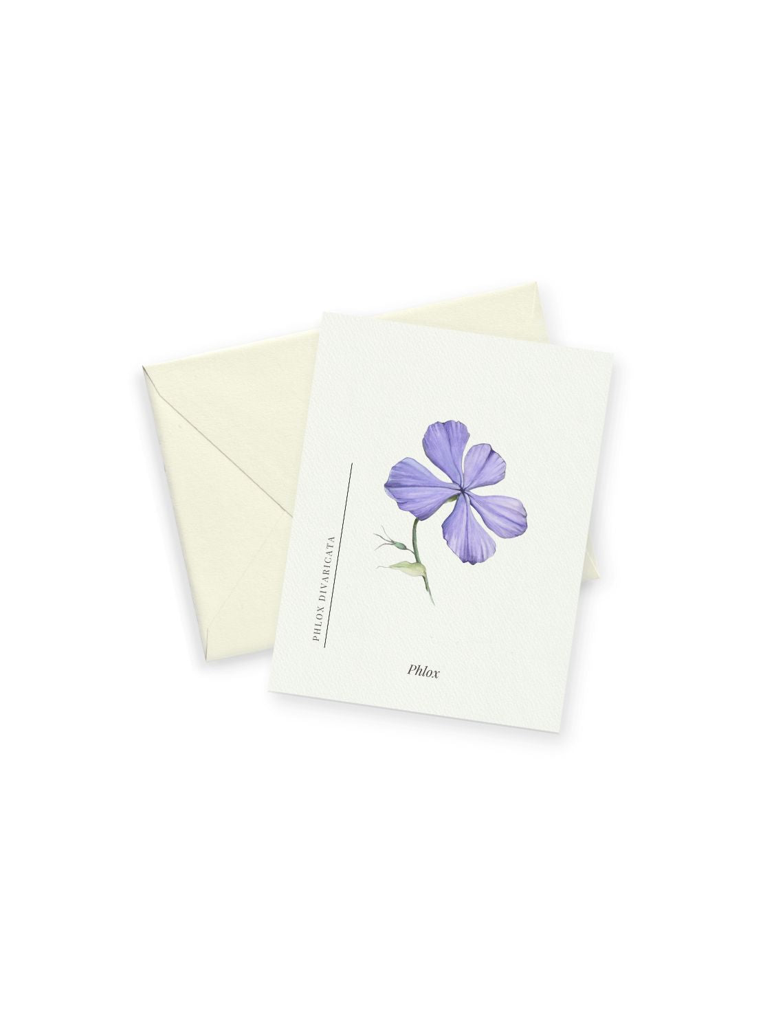 Purple Phlox Notecards