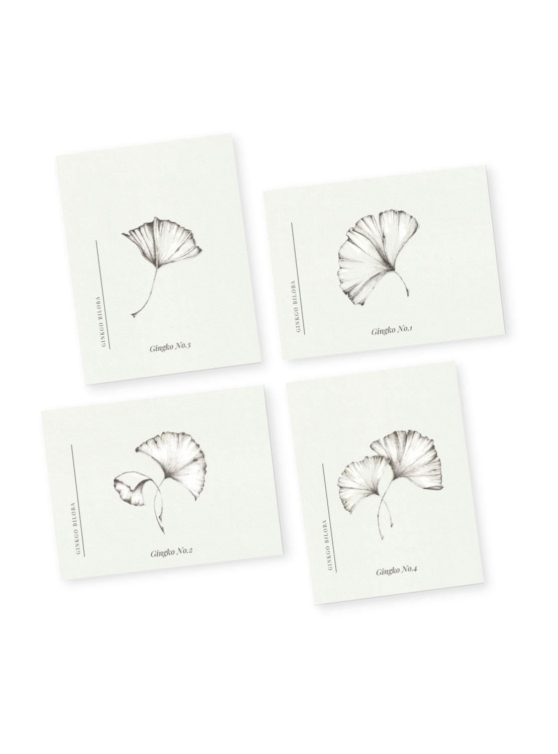 Gingko Notecards