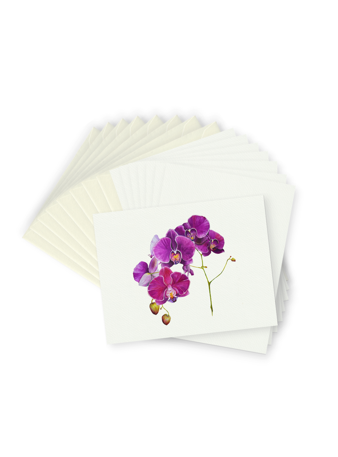 Purple Orchid Greeting Card Bundle