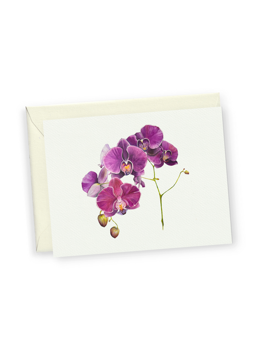 Purple Orchid Greeting Card Bundle