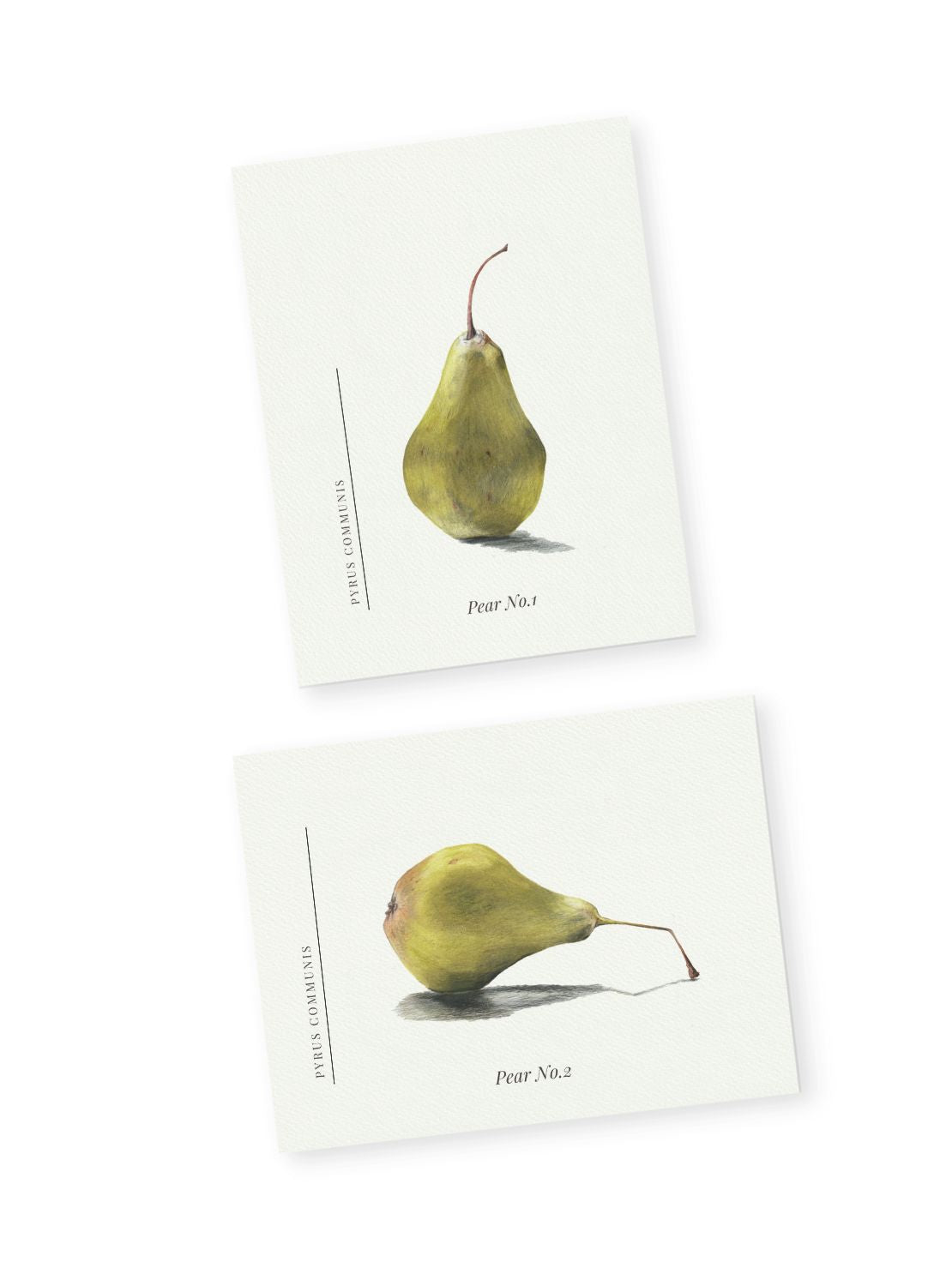 Pear Notecards