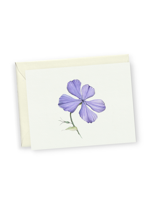 Purple Phlox Greeting Card Bundle