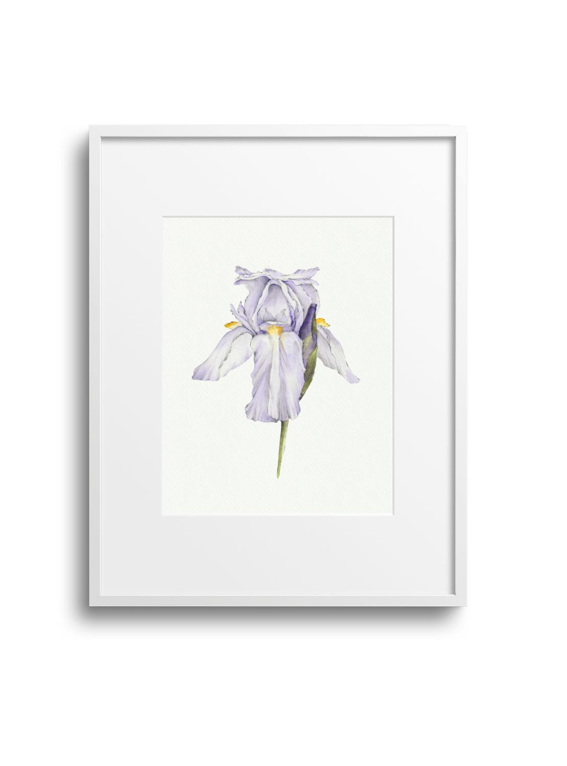 Purple Iris Giclee Print