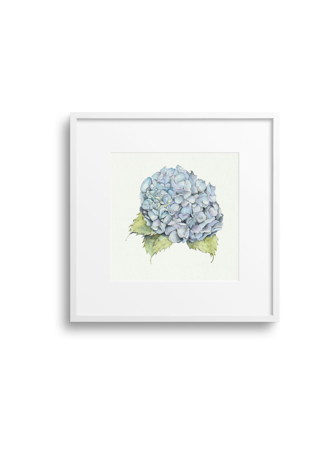 Blue Hydrangea Giclee Print