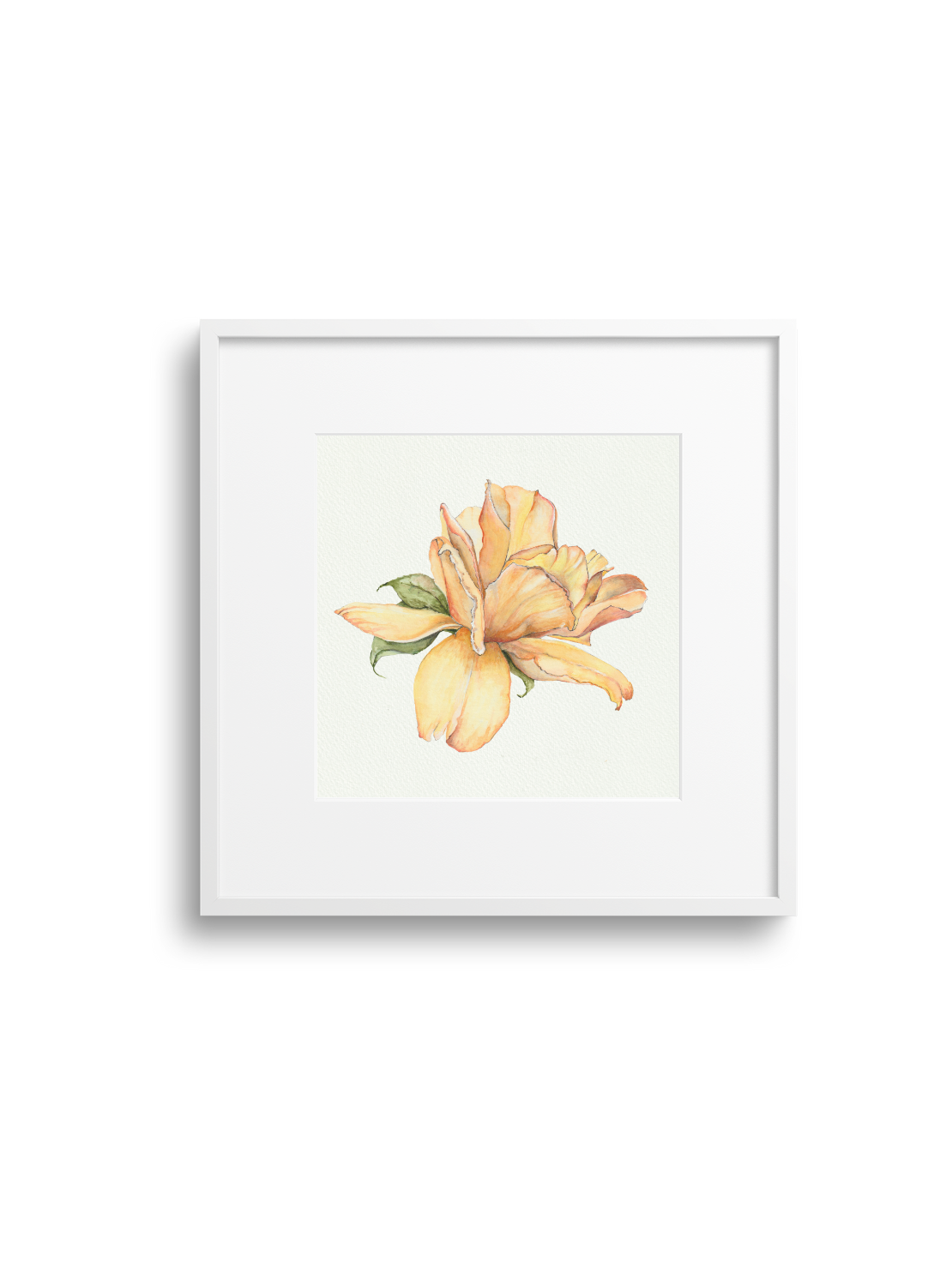 Yellow Rose Giclee Print