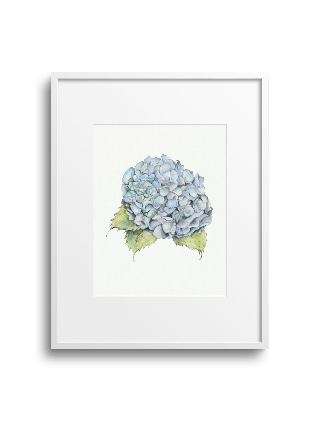 Blue Hydrangea Giclee Print