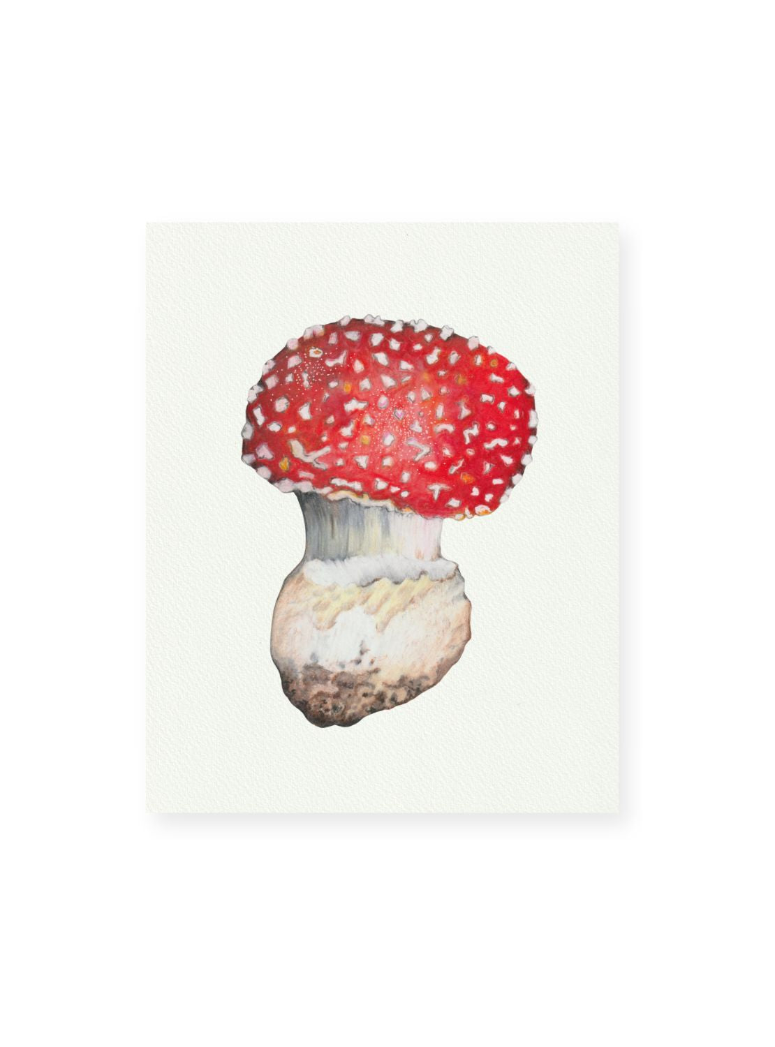Red Mushroom Giclee Print