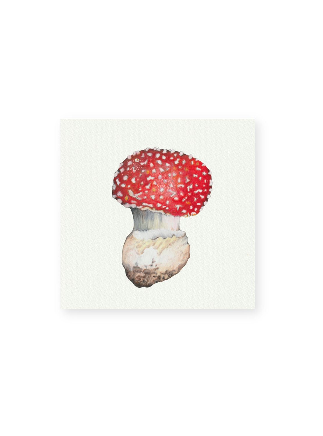 Red Mushroom Giclee Print