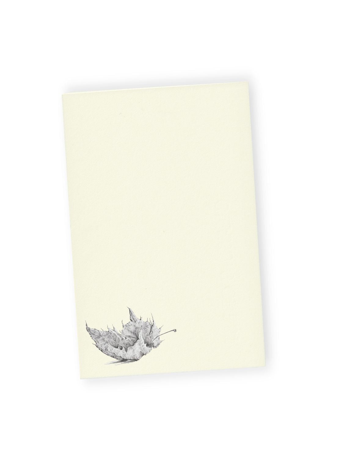 Graphite Leaf No.1 Letter Paper Bundle