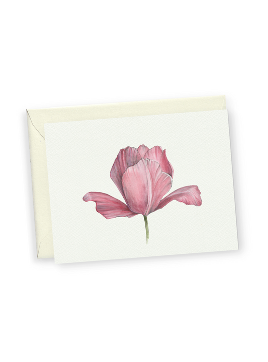 Pink Tulip Greeting Card Bundle