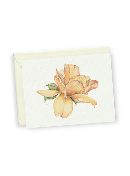Yellow Rose Greeting Card Bundle