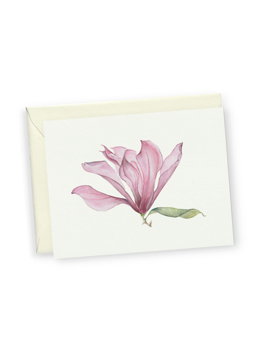Pink Magnolia Greeting Card Bundle