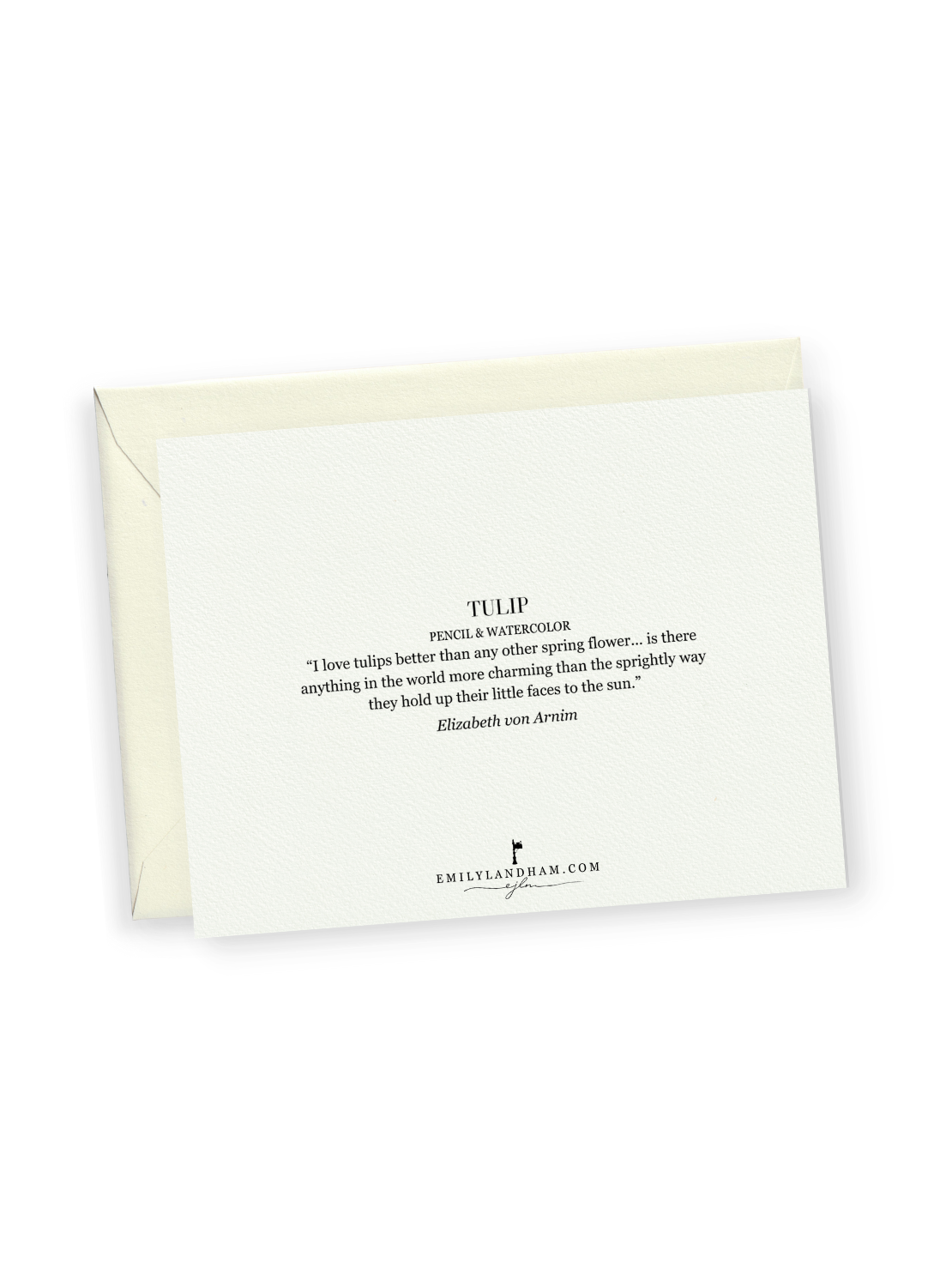 Pink Tulip Greeting Card Bundle