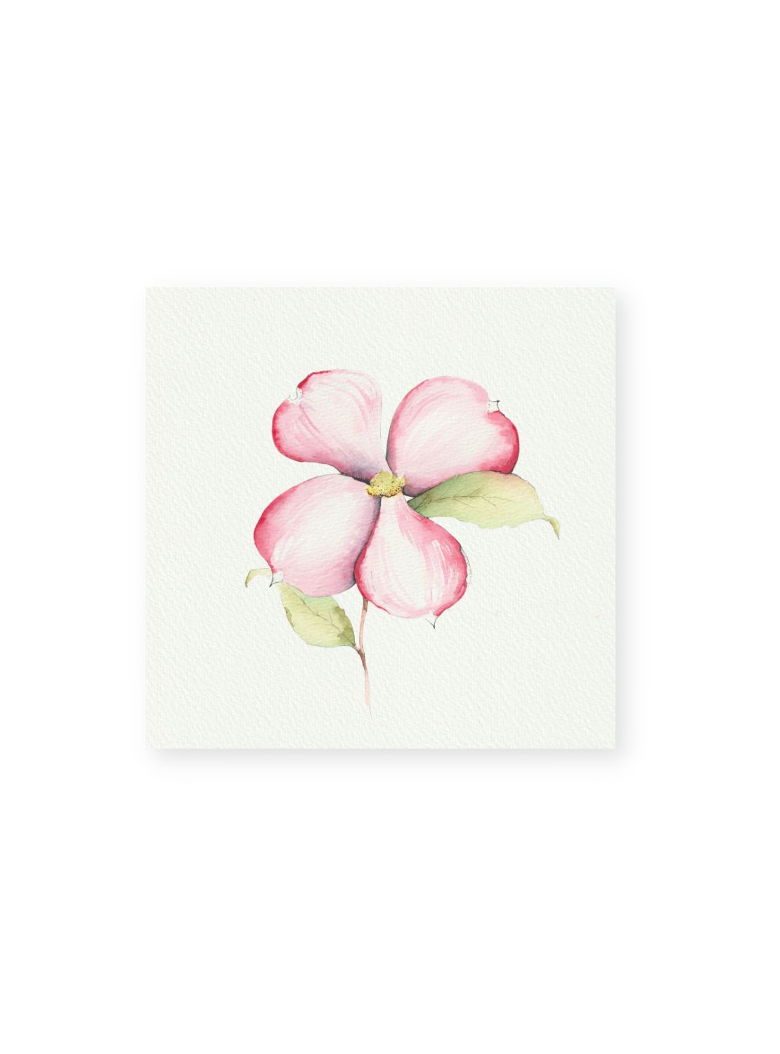 Pink Dogwood No.2 Giclee Print