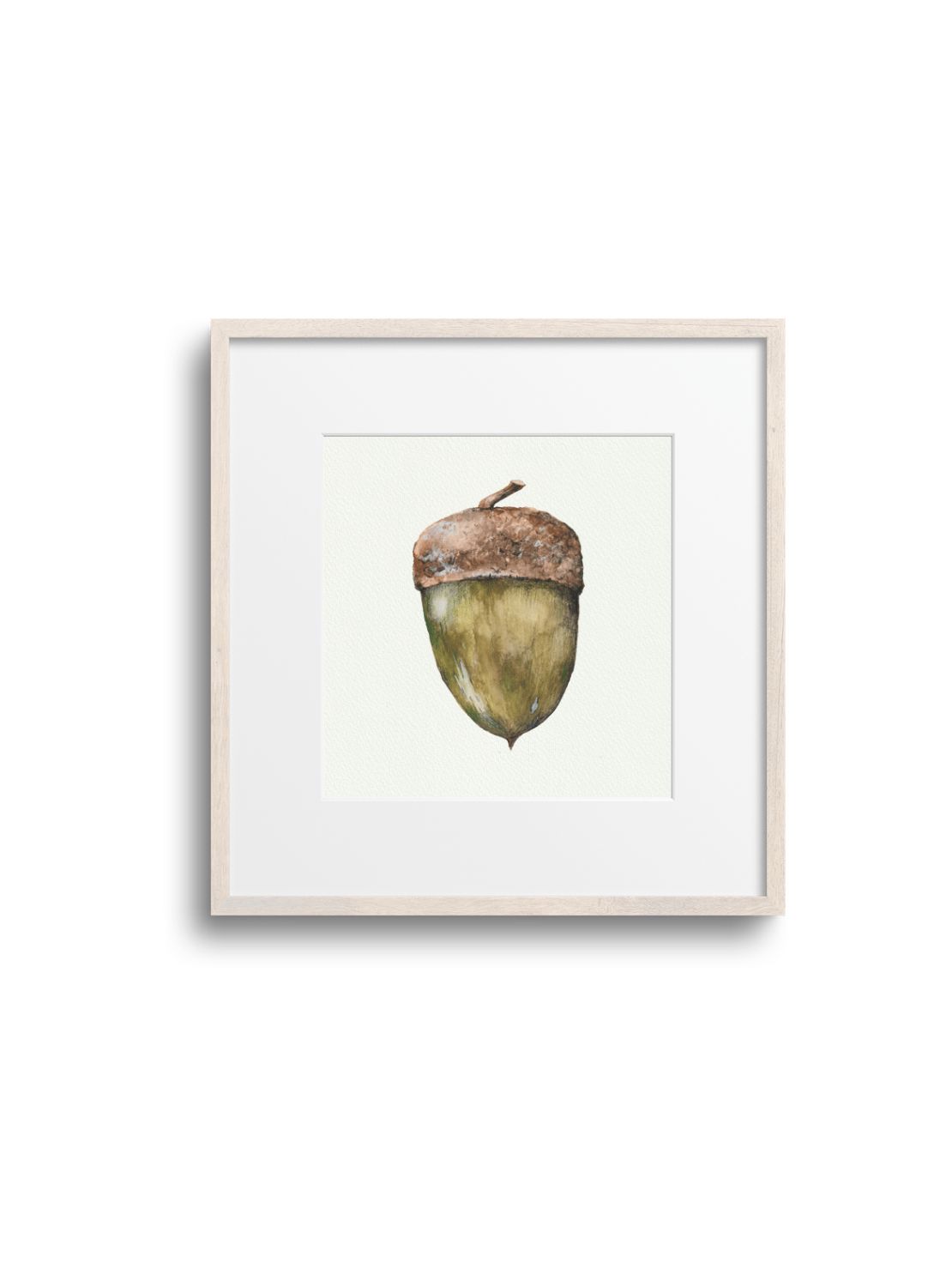 Acorn Giclee Print