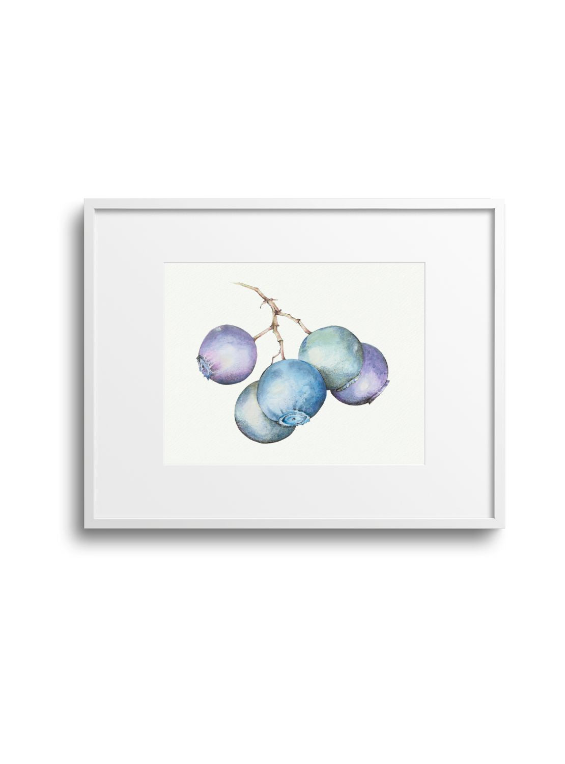 Blueberry No.1 Giclee Print