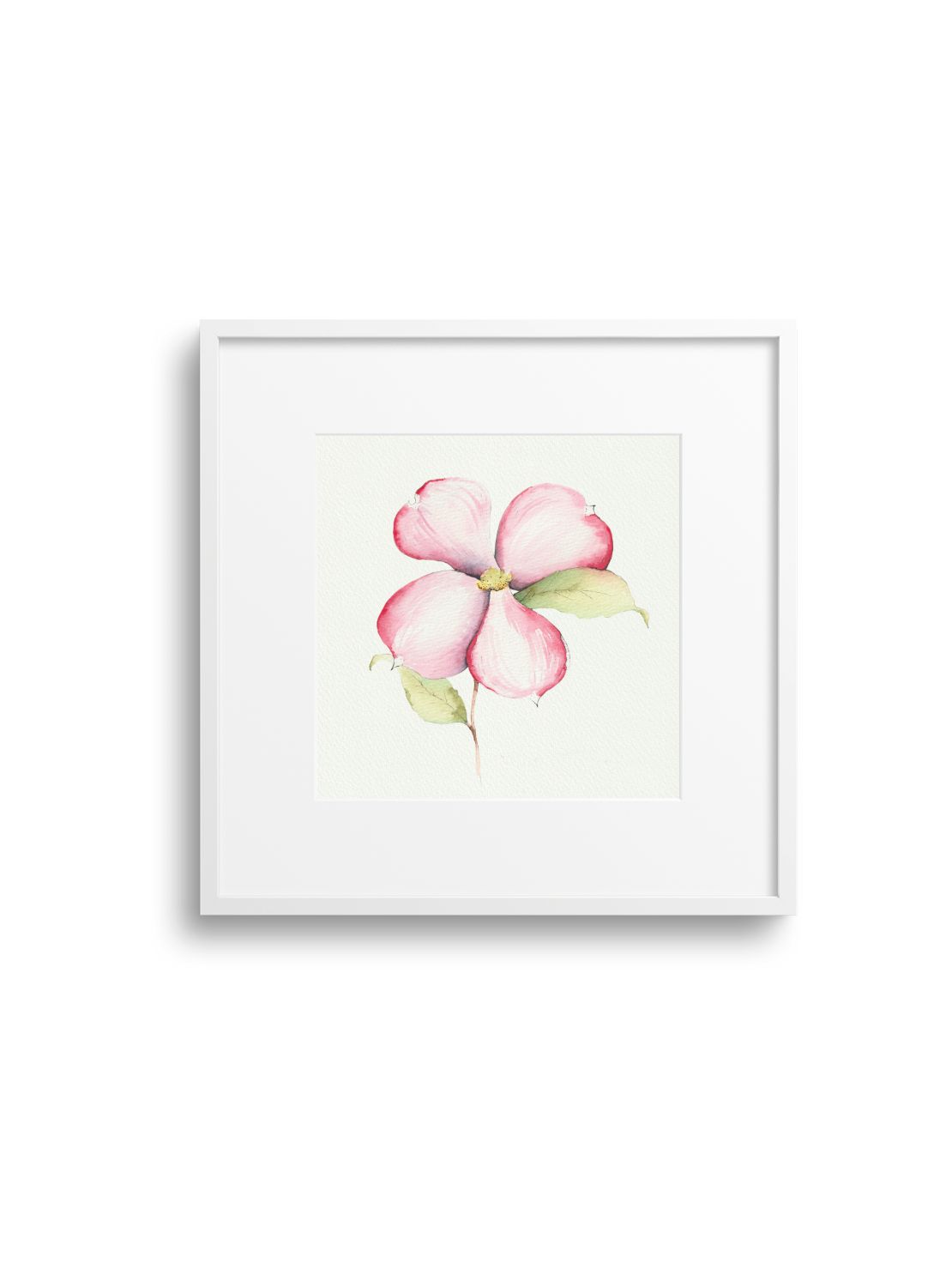Pink Dogwood No.2 Giclee Print