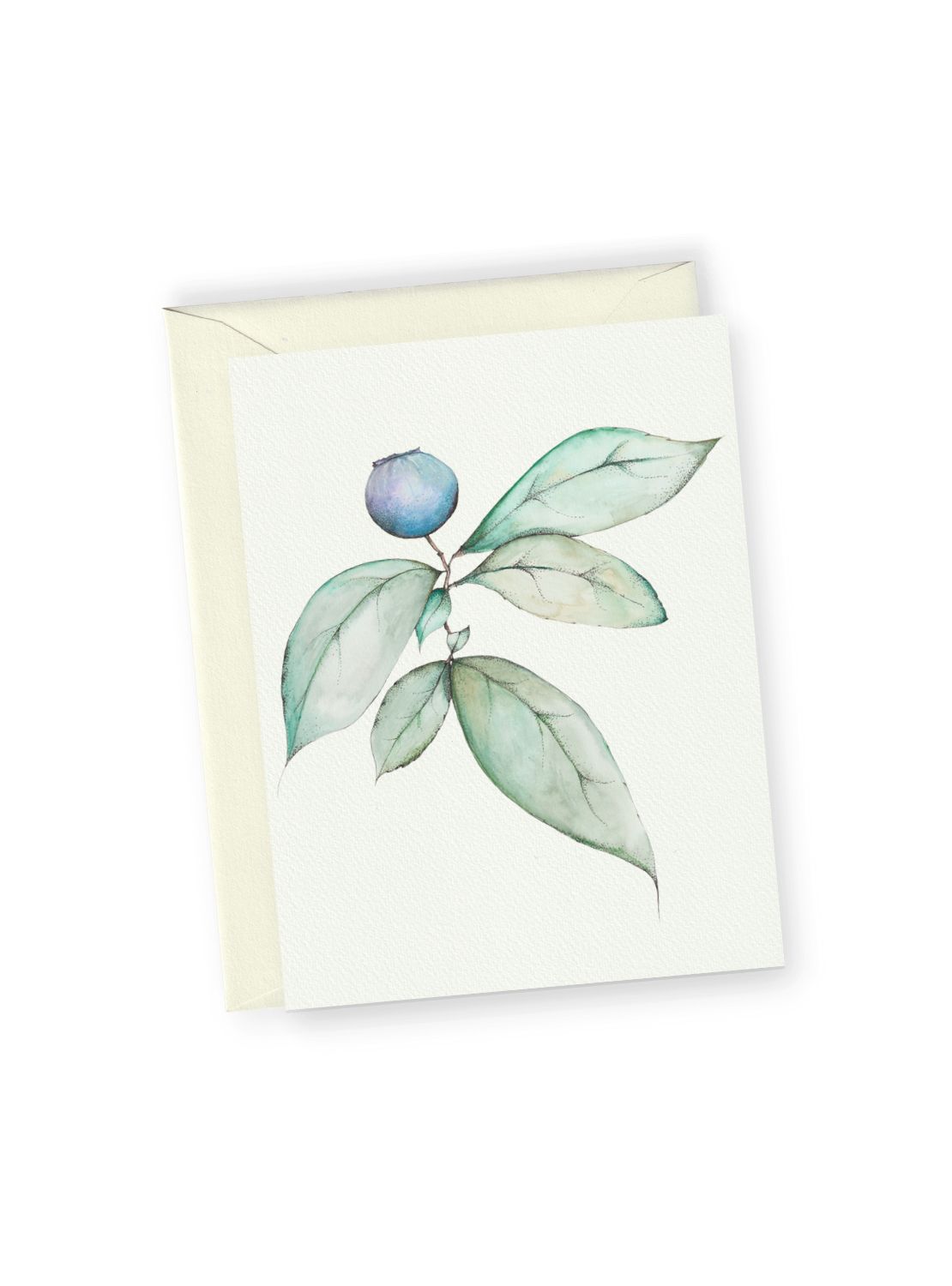 Blueberry No.2