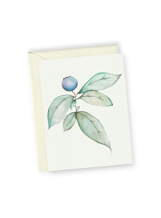 Blueberry No.2