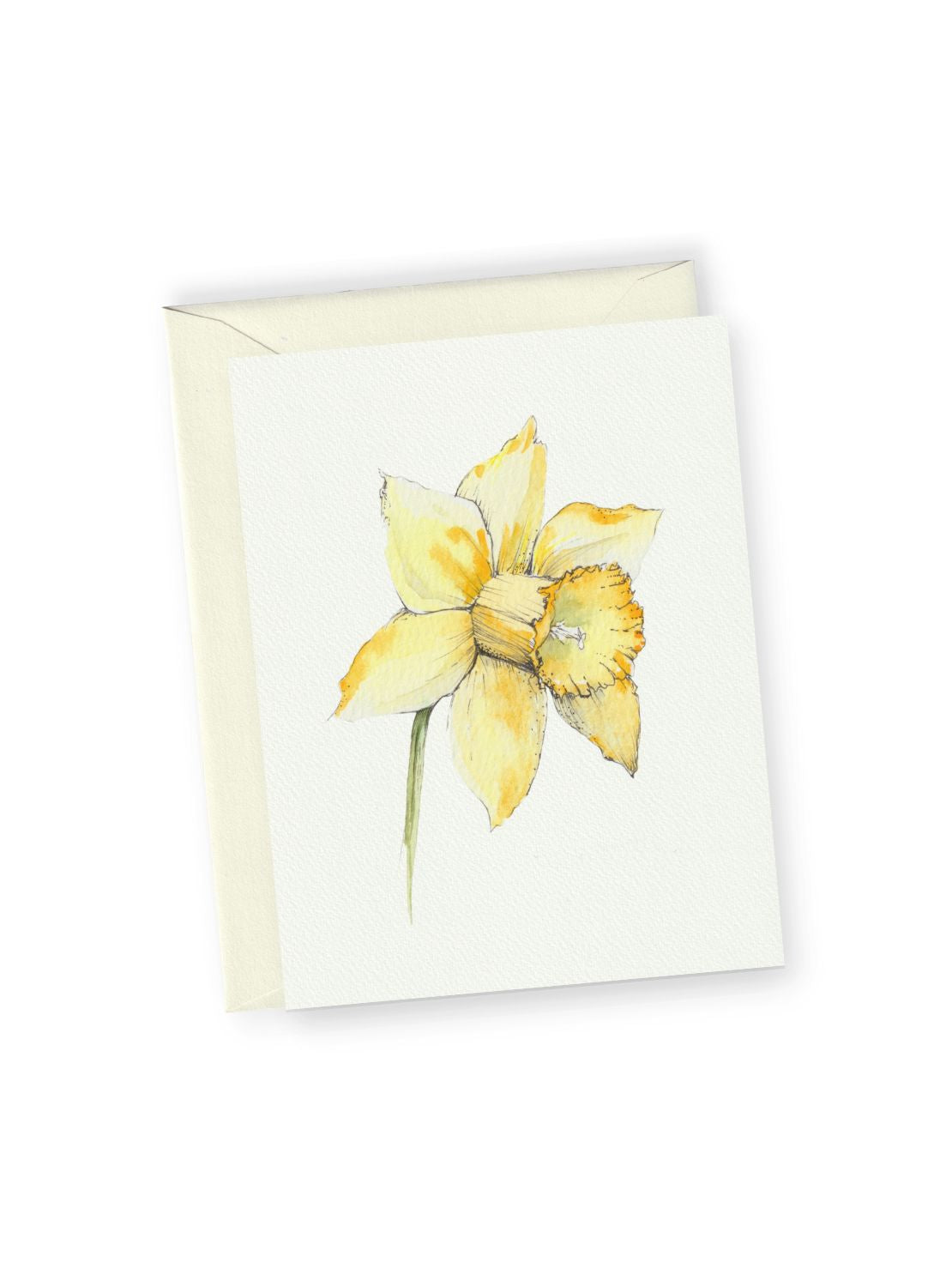 Daffodil No.1