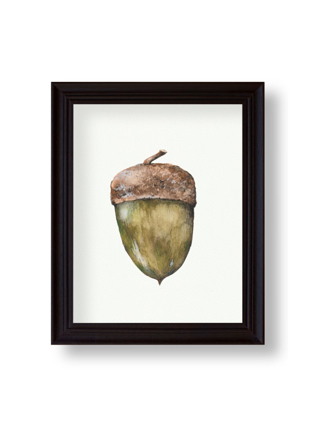 Acorn Giclee Print