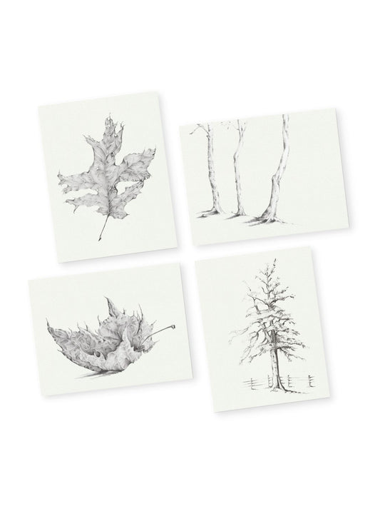 Graphite Trees & Leaves Greeting Card Bundle