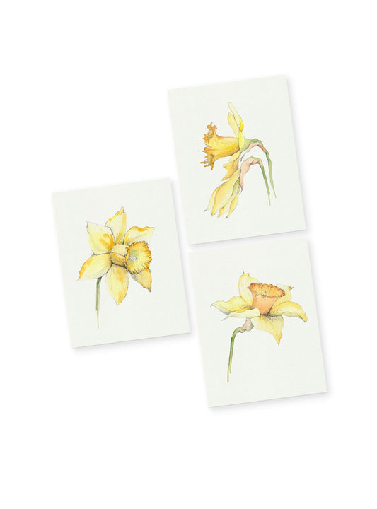 Daffodil Greeting Card Bundle