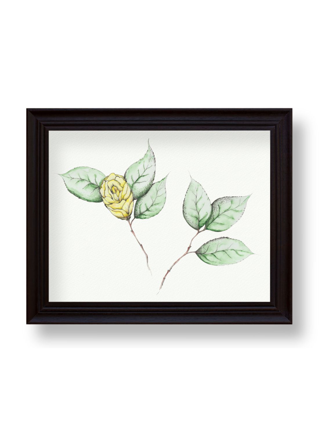 Camellia No.6 Giclee Print