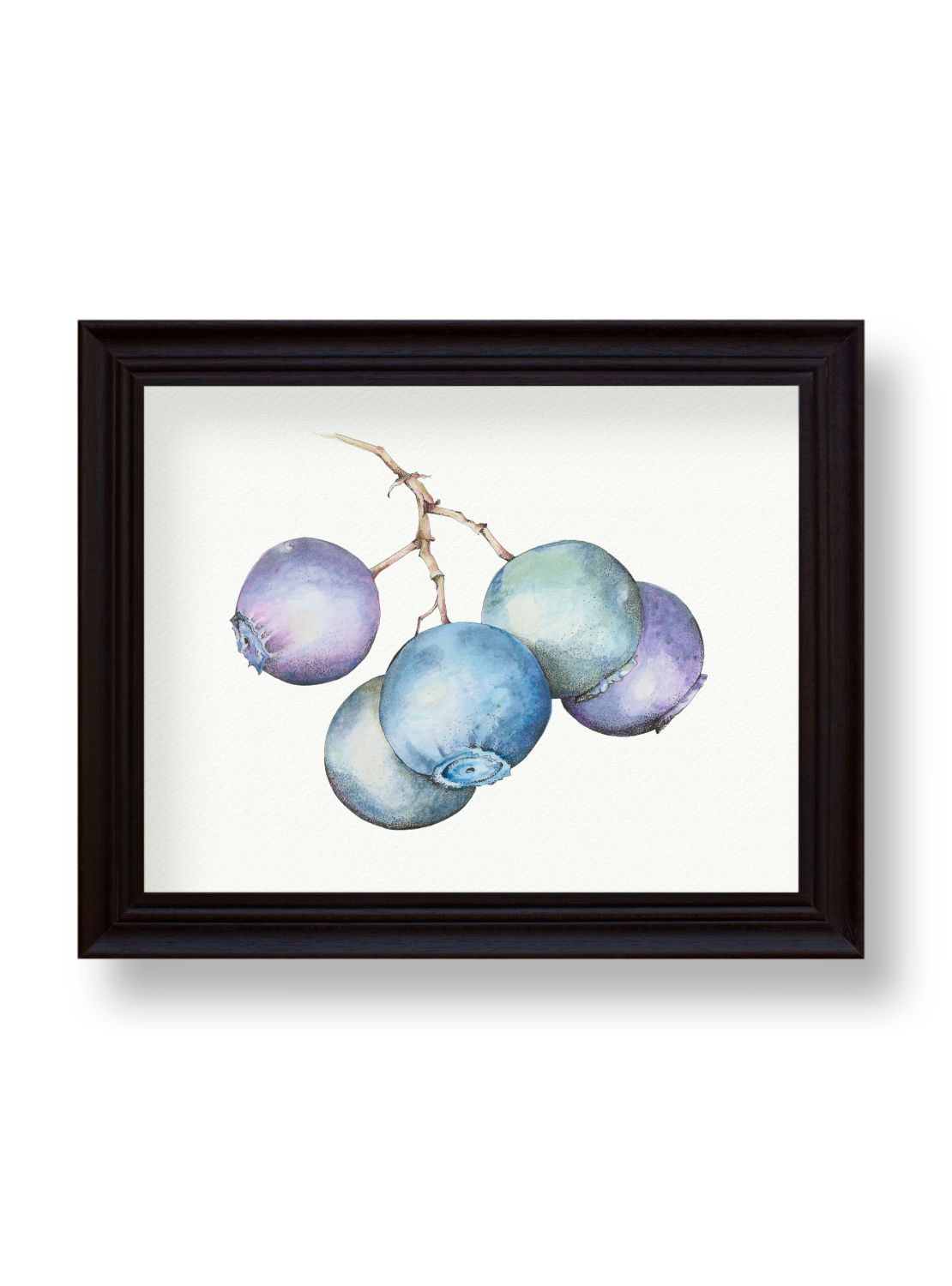 Blueberry No.1 Giclee Print