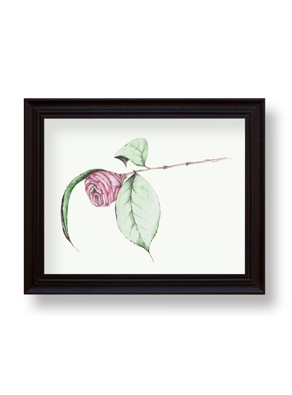 Camellia No.4 Giclee Print