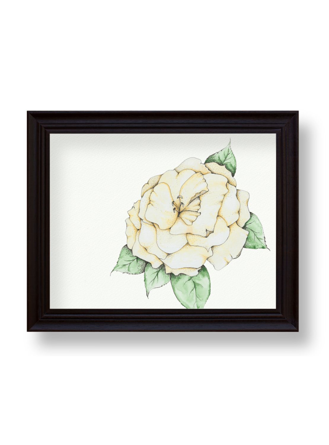 Camellia No.7 Giclee Print