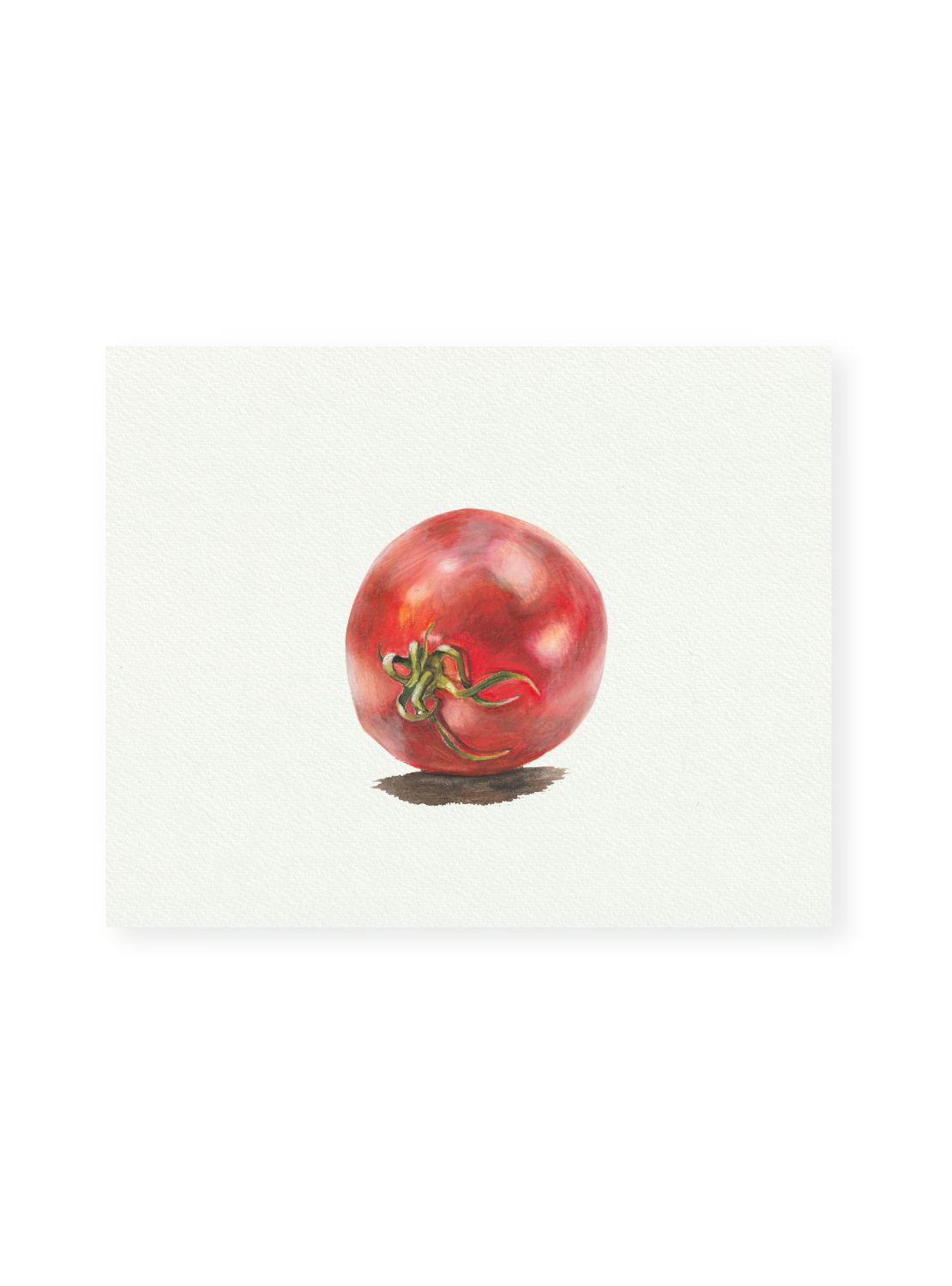 Tomato No.2 Giclee Print